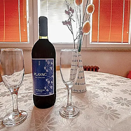 Penthaus U Strogom Centru Banja Luke *